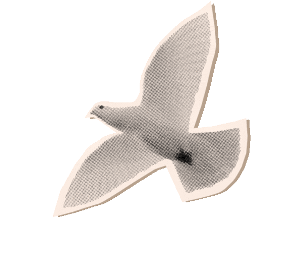 Neon Green Bright Red Trendy Retro Infomercial Creative Presentation